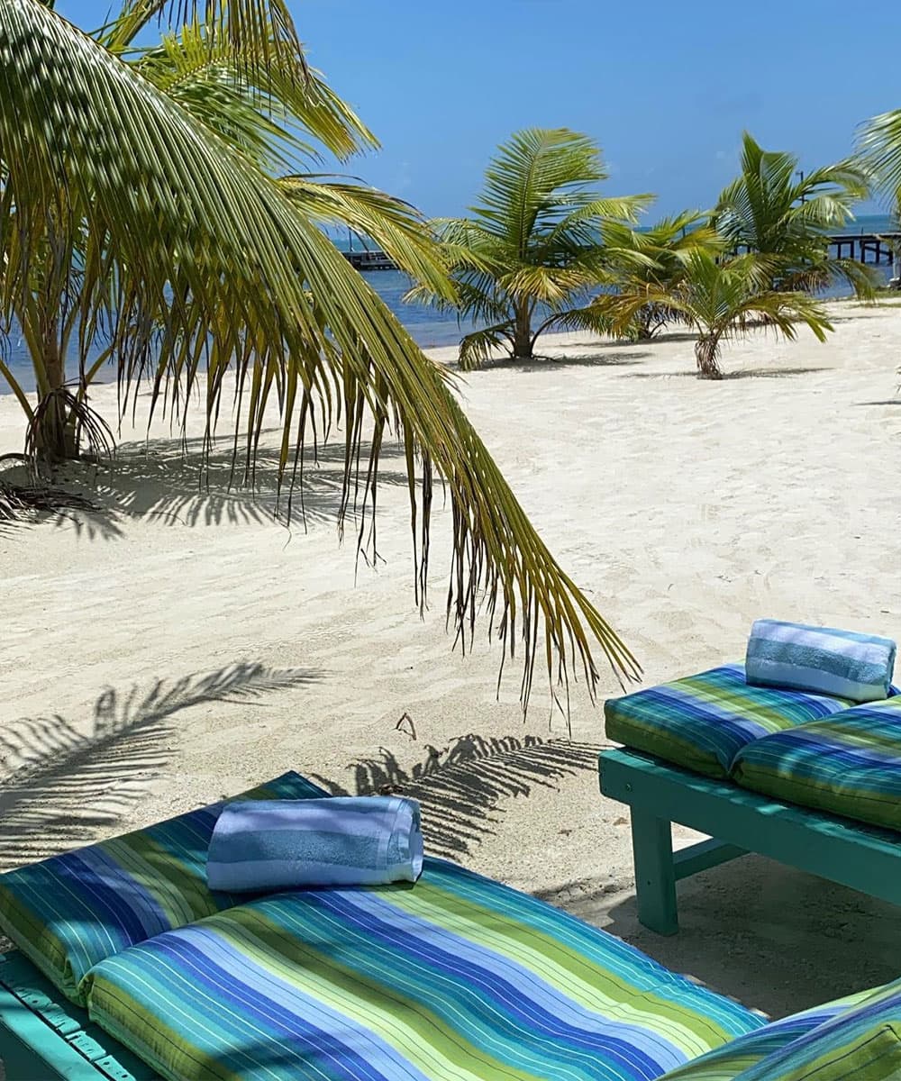 Lounge chairs with striped cushions and towels are positioned on a sandy beach with palm trees and a blue sky in the background.