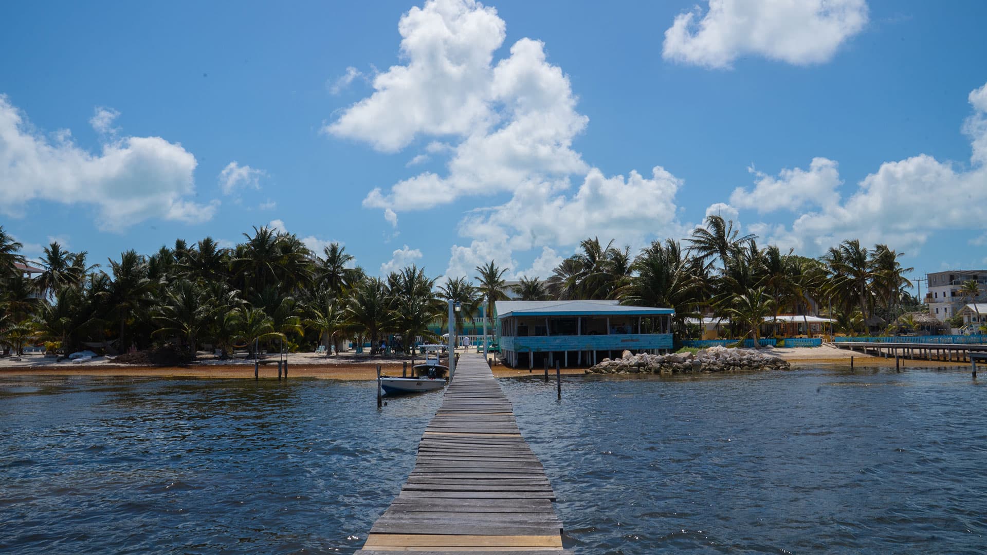 A wooden dock stretches over the water towards a beachside restaurant surrounded by palm trees under a blue sky.