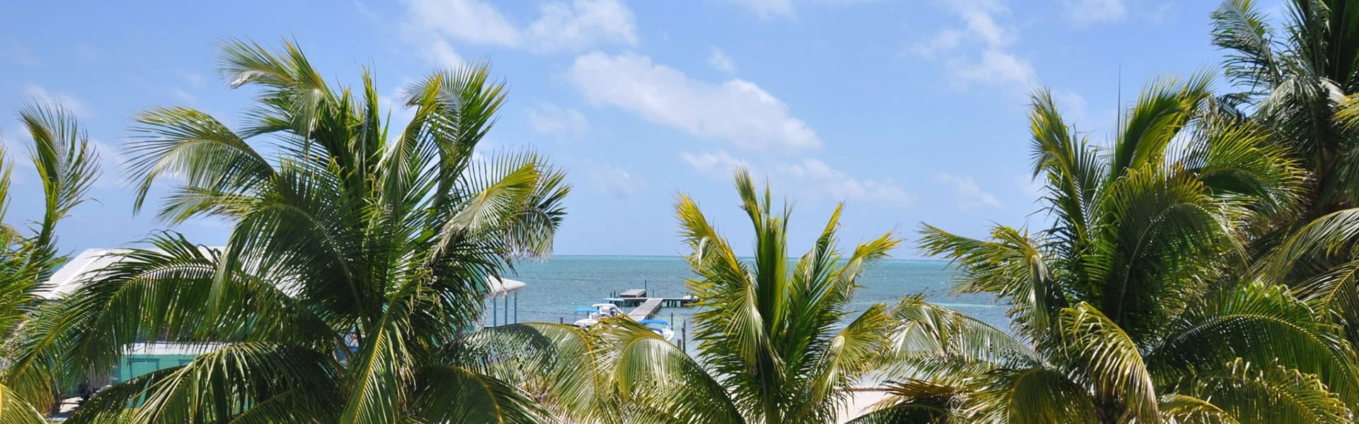 A tropical beach view framed by palm trees under a blue sky.